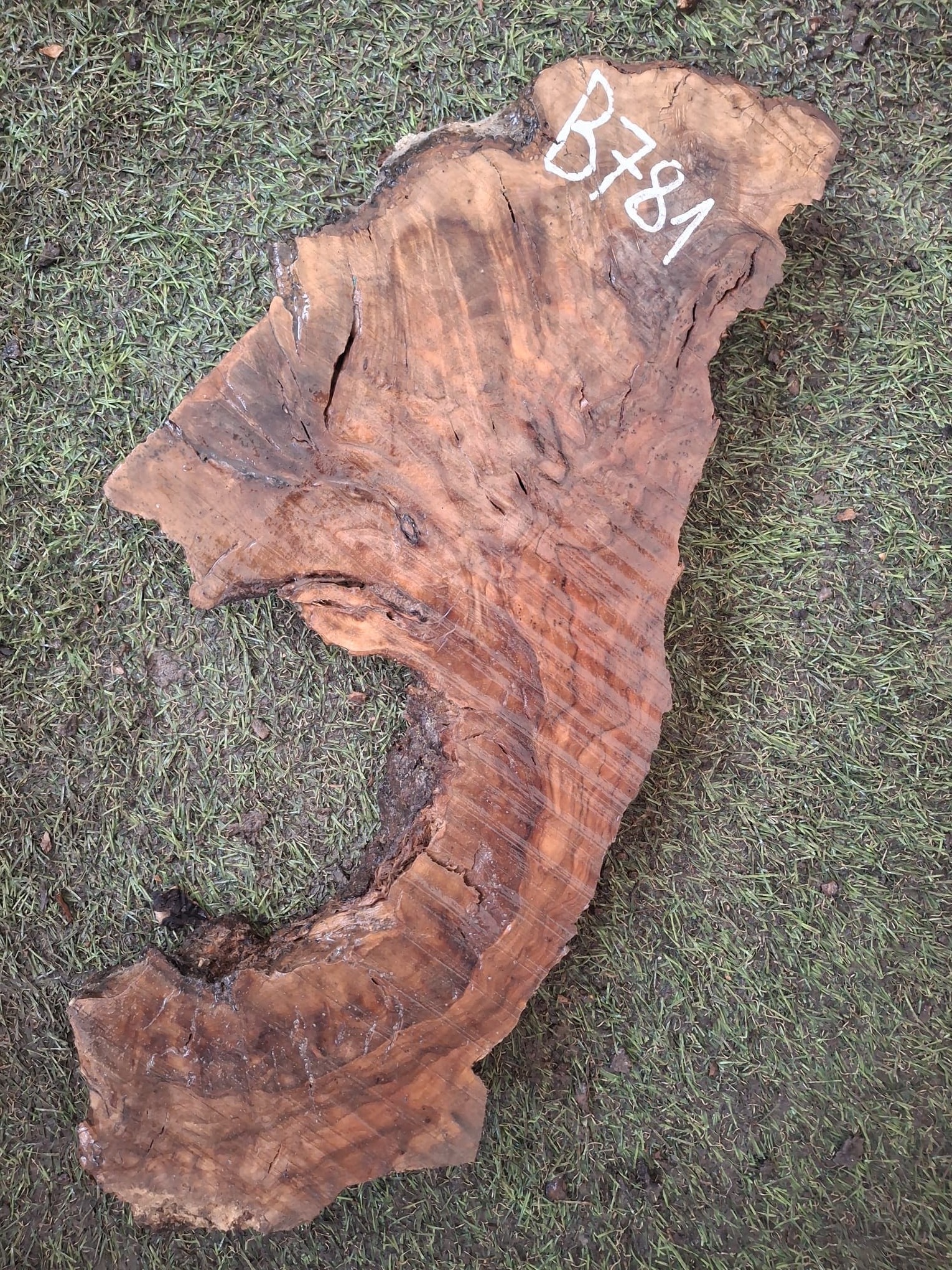 B781 Olivové dřevo 44x9x4,5 cm