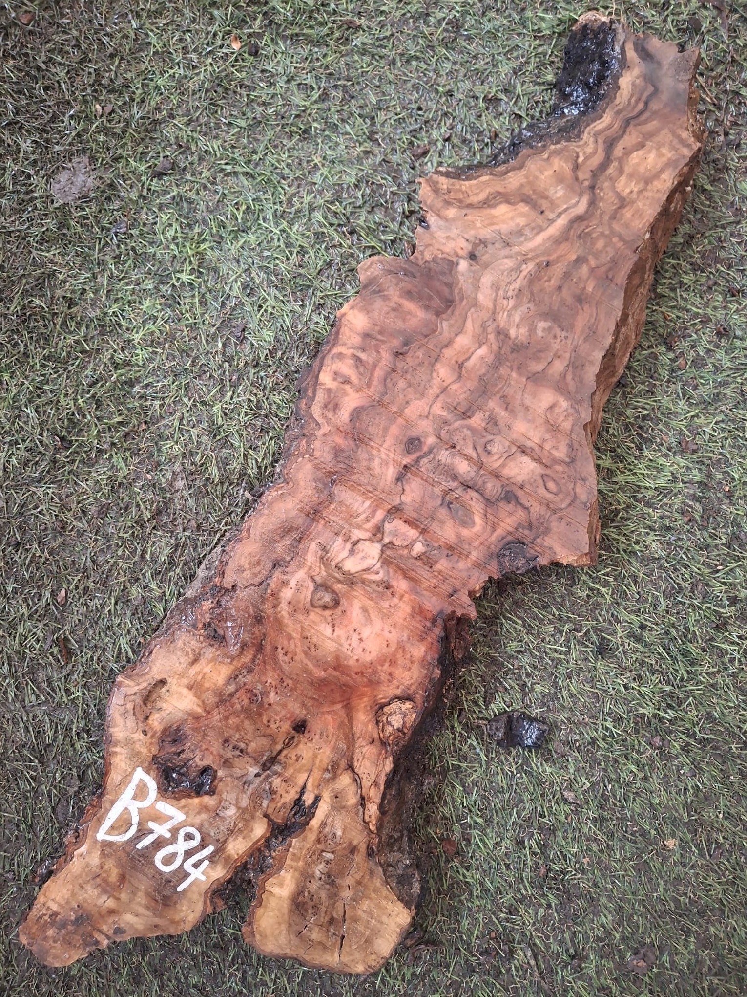 B784 Olivová deska 48x13x4,5 cm