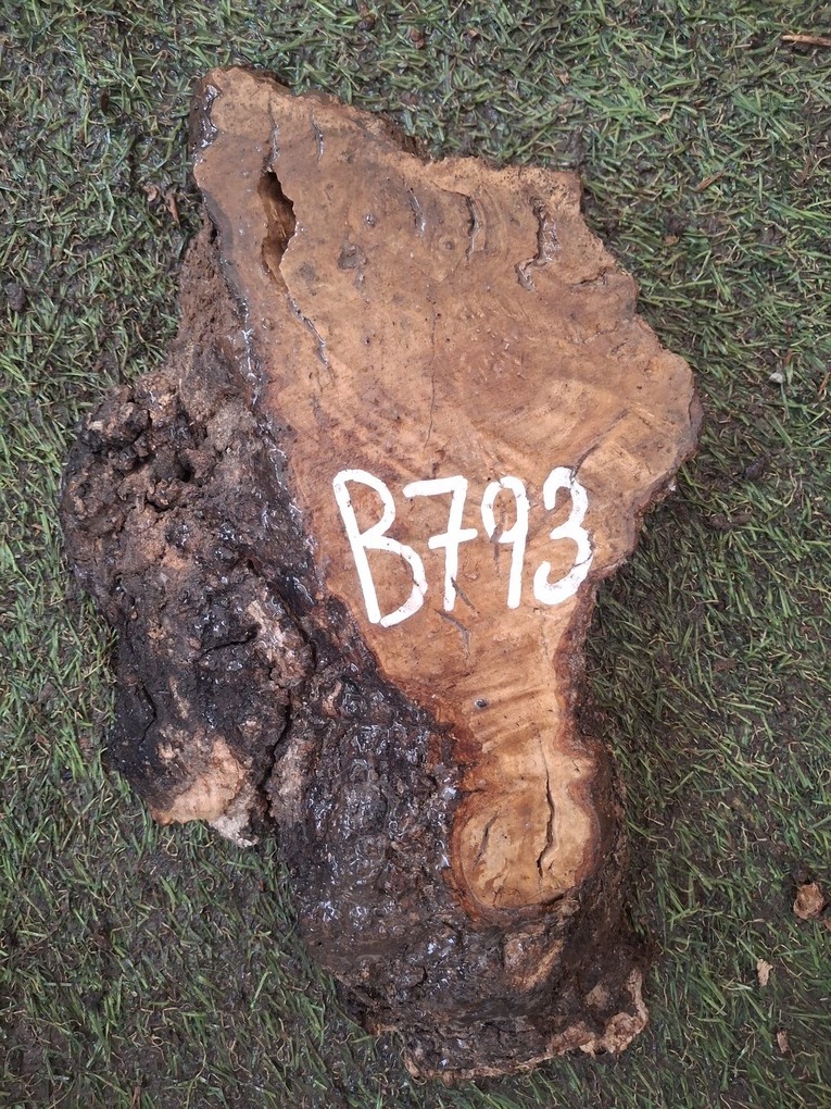 B793 Olivové dřevo 28x11x4,5 cm