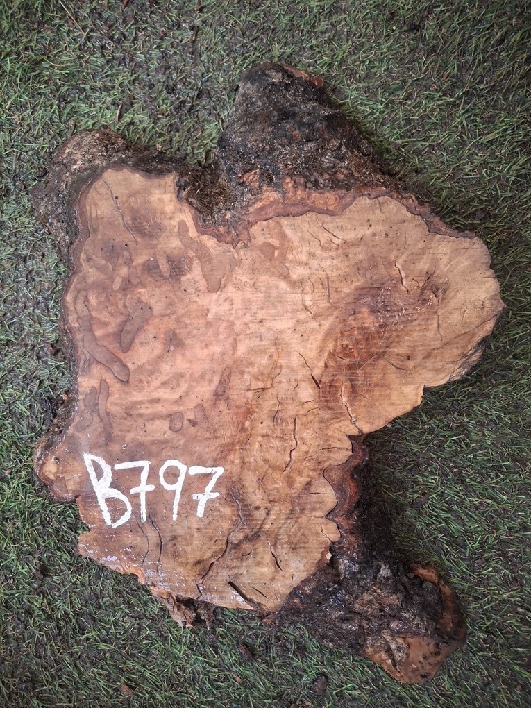 B797 Olivové dřevo 29x19x4,5 cm