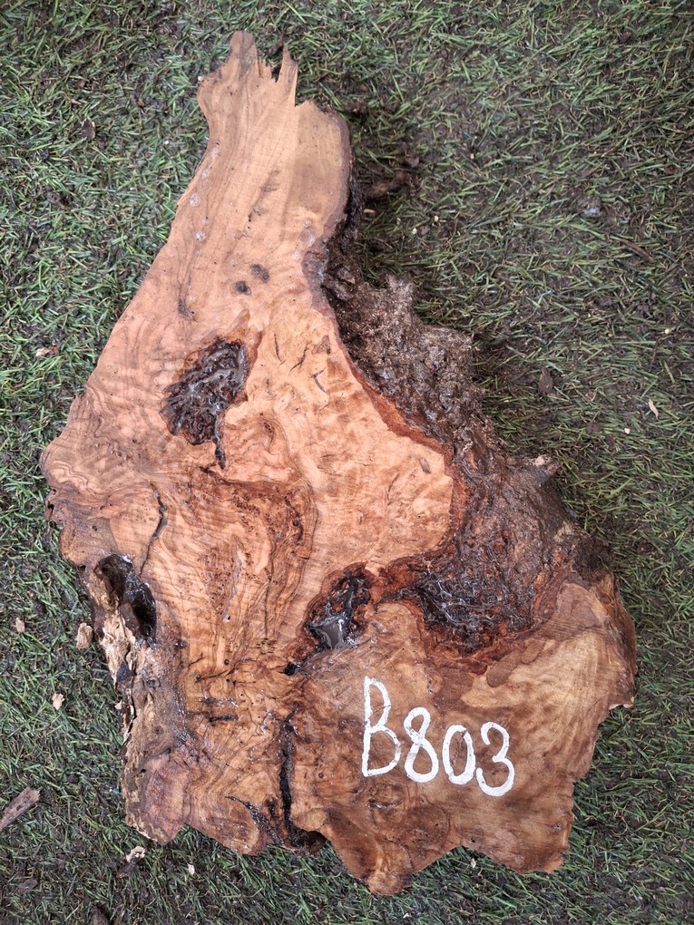 B803 Olivové dřevo 22x10x4,5 cm