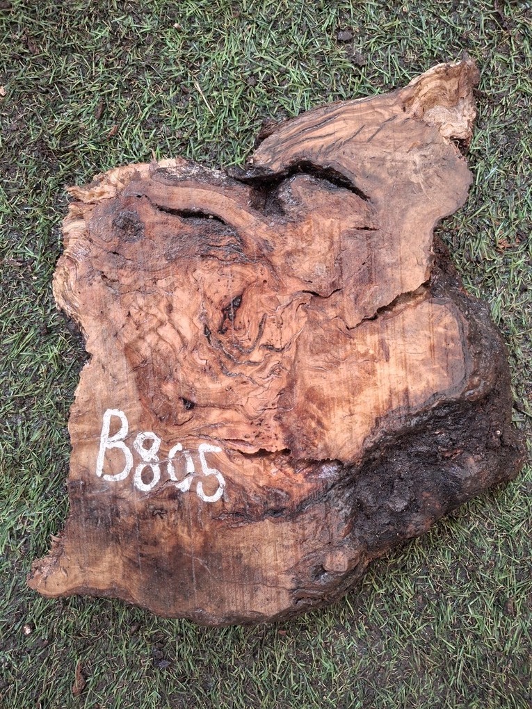 B805 Olivové dřevo 22x20x4,5 cm