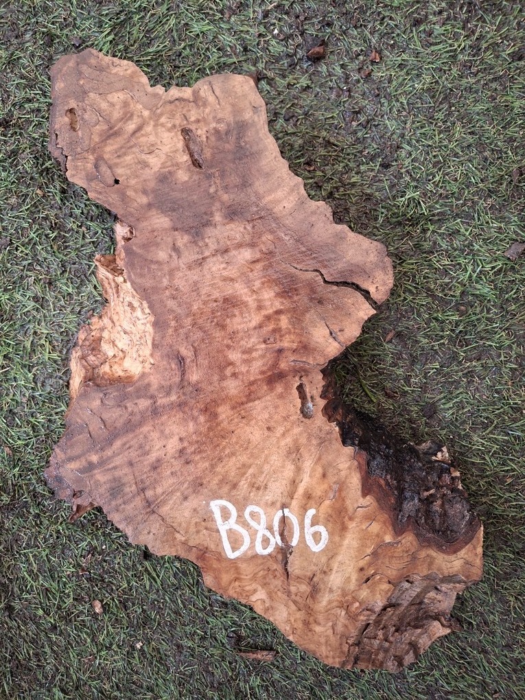 B806 Olivové desky 29x11x4,5 cm