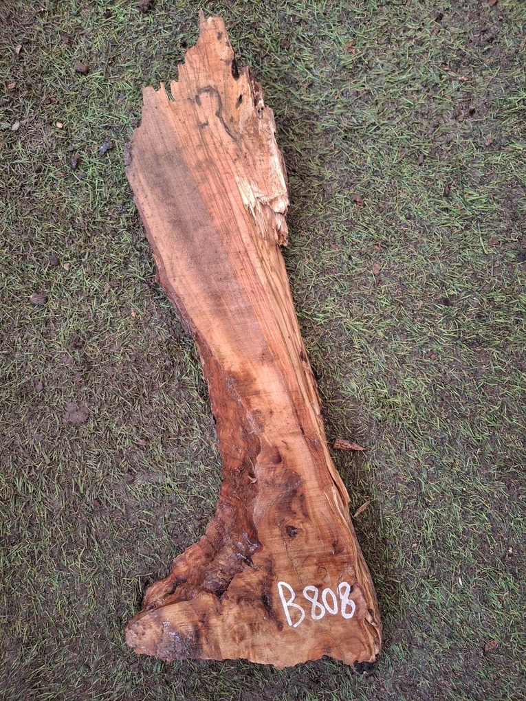 B808 Olivové dřevo 42x6x1-4,5 cm