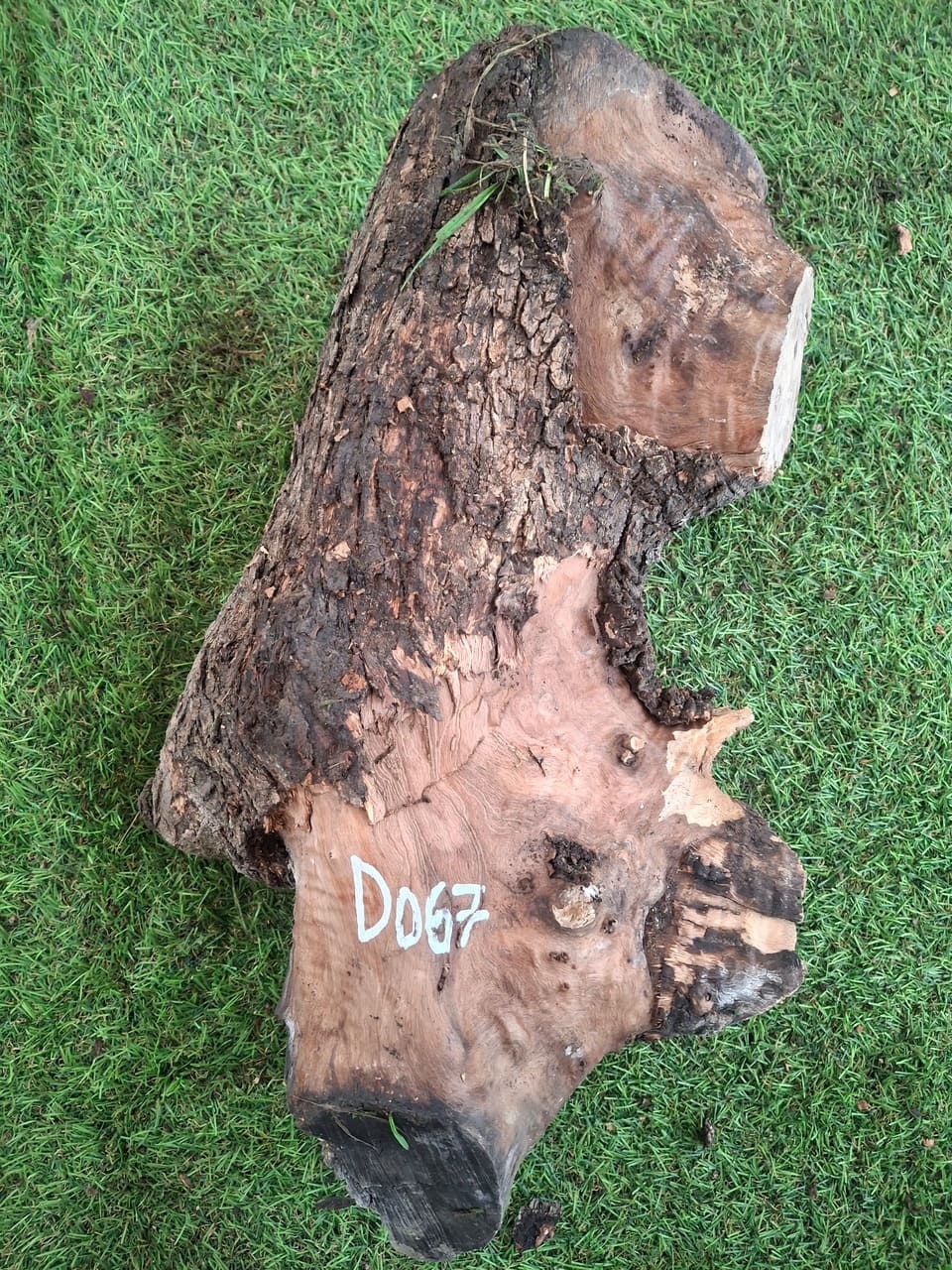 D067 Olivový špalek 30x15x13 cm