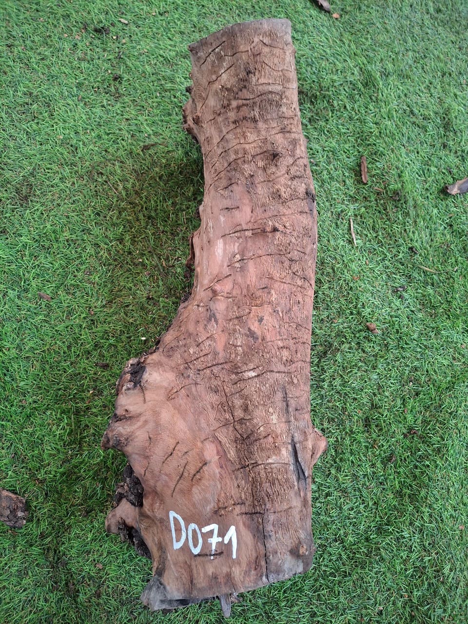 D071 Olivový špalek 48x14x14 cm