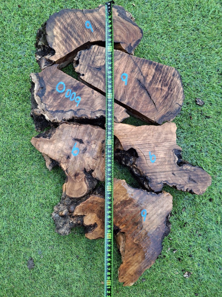 O009 Olivové odřezky 6,80 kg