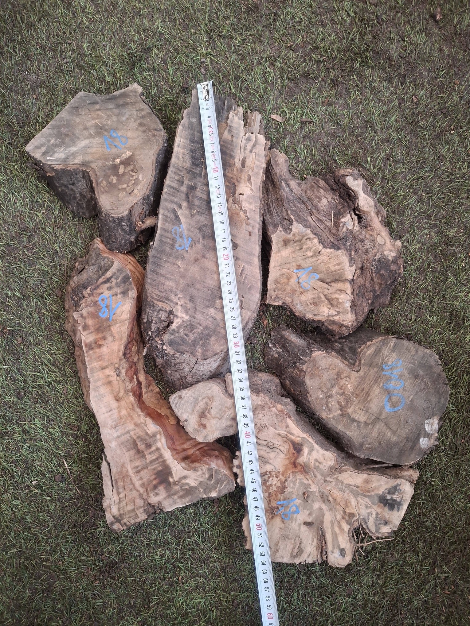 O018 Olivové odřezky 4,9 kg