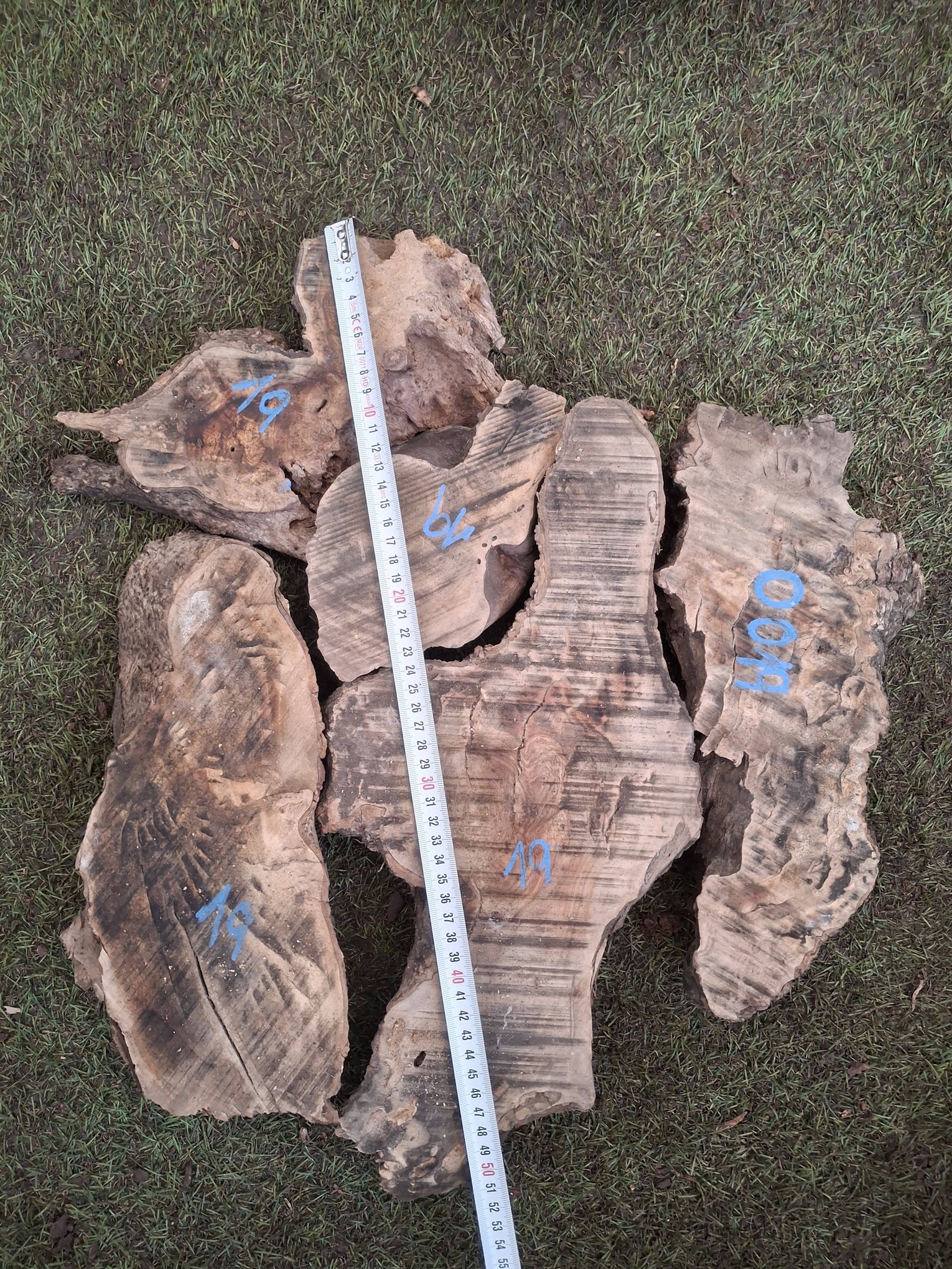 O019 Olivové odřezky 4,8 kg