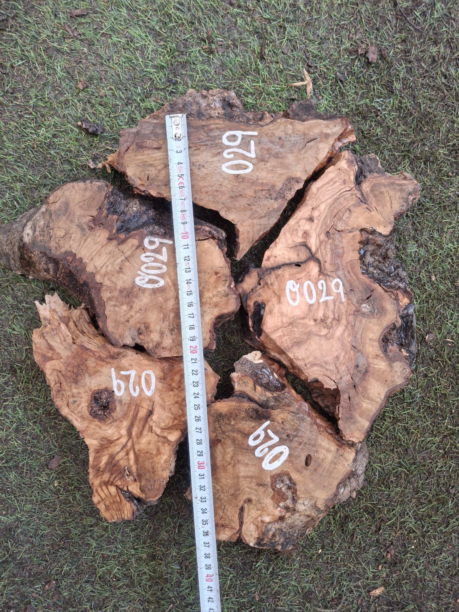 O029 Olivové odřezky 3,97 kg