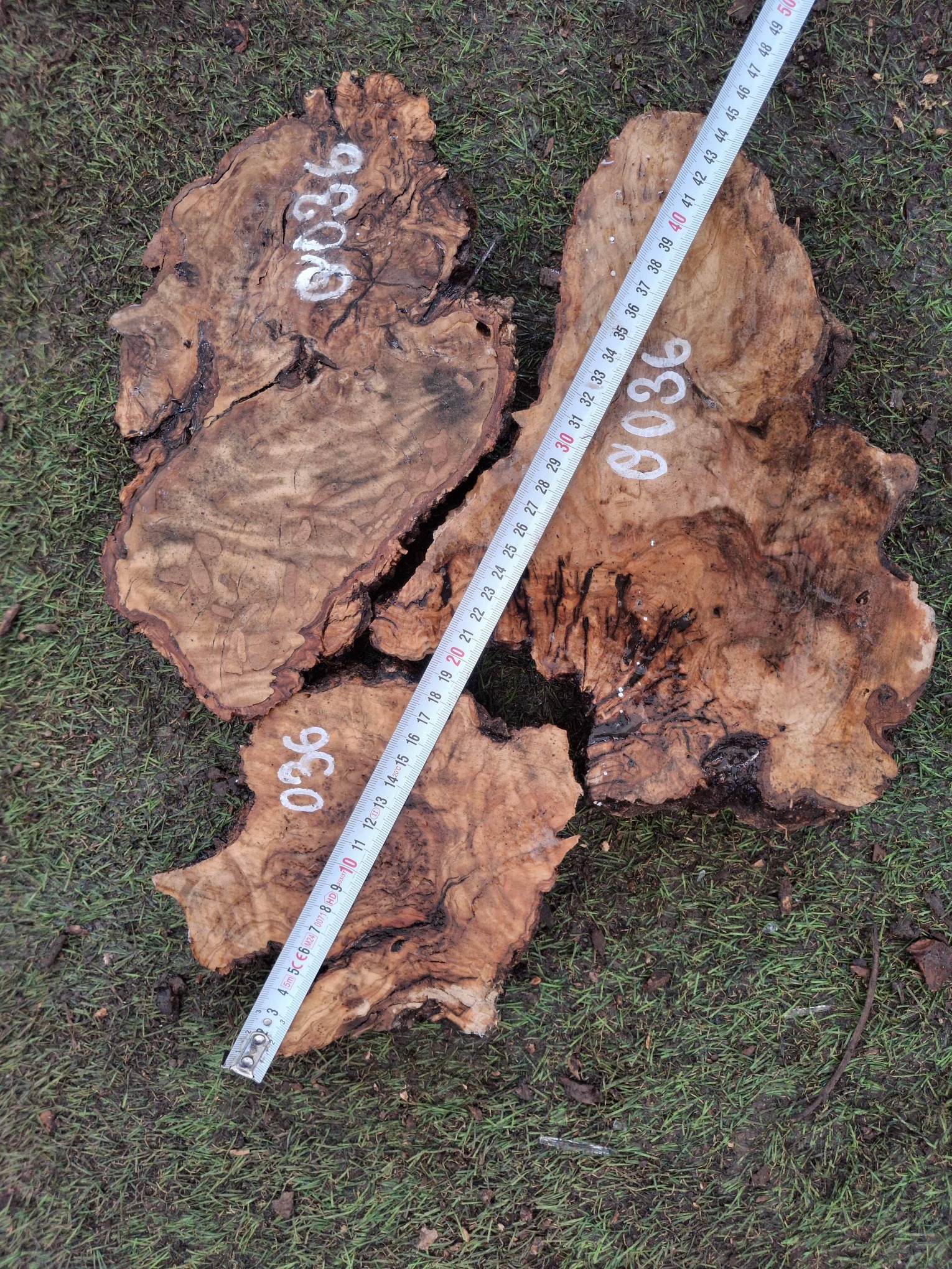 O036 Olivové odřezky 3,55 kg