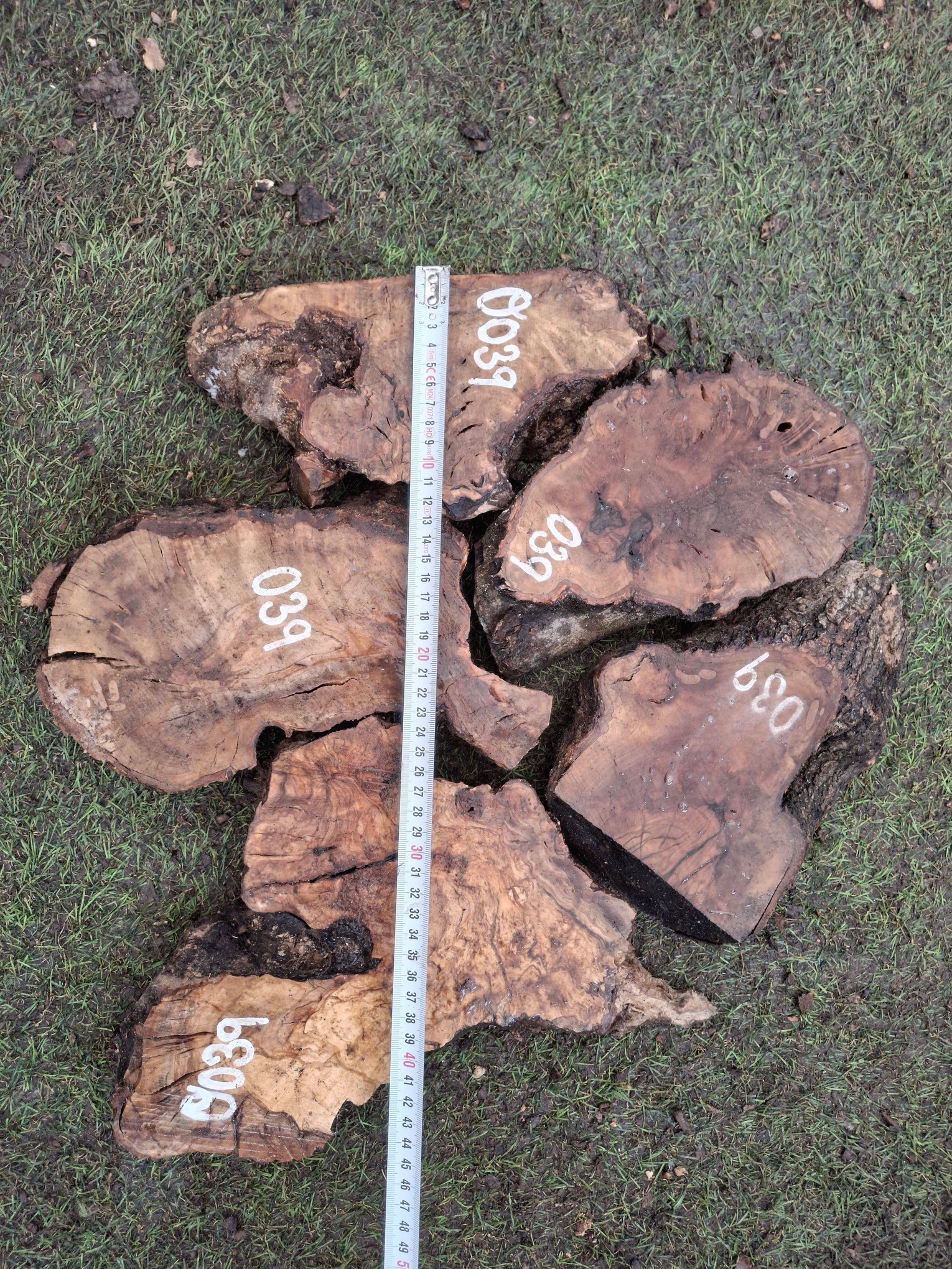 O039 Olivové odřezky 4,65 kg