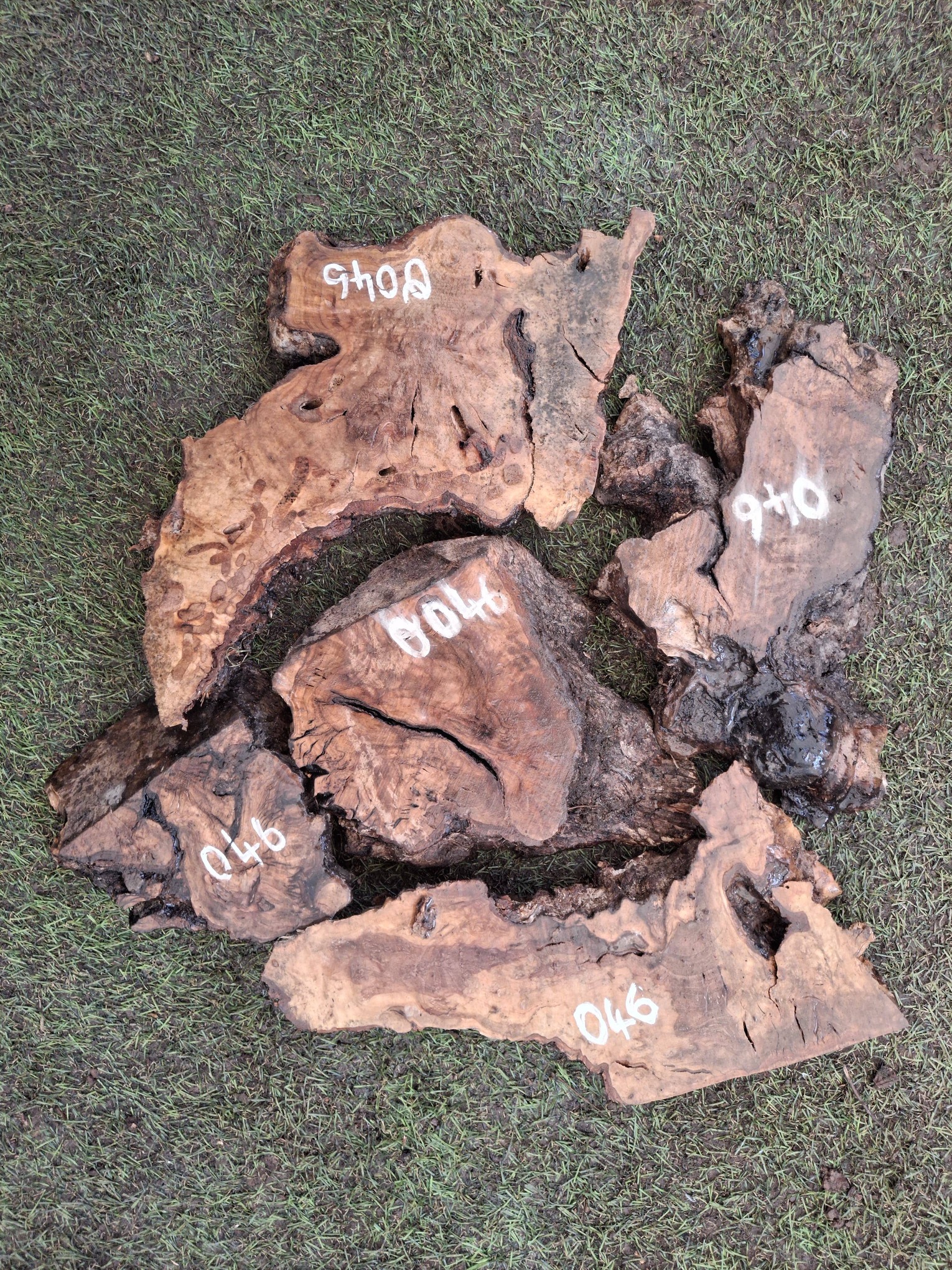 O046 Olivové odřezky 5,40 kg