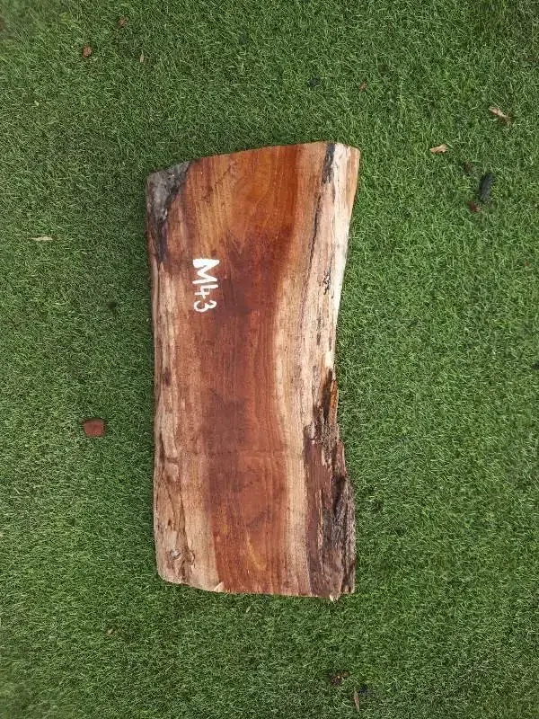 M43 Morušová deska 55x19x4,5 cm