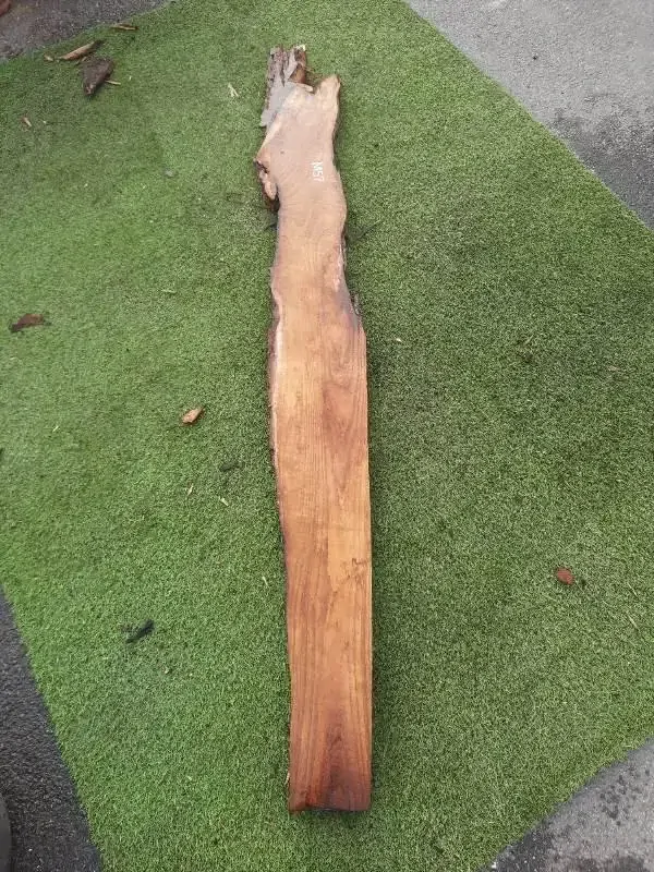 M57 Morušová deska 190x17x4,5 cm