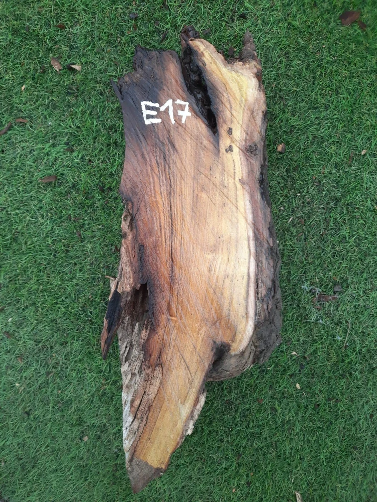 E17 Morušový odřezek 42x14x8-11 cm