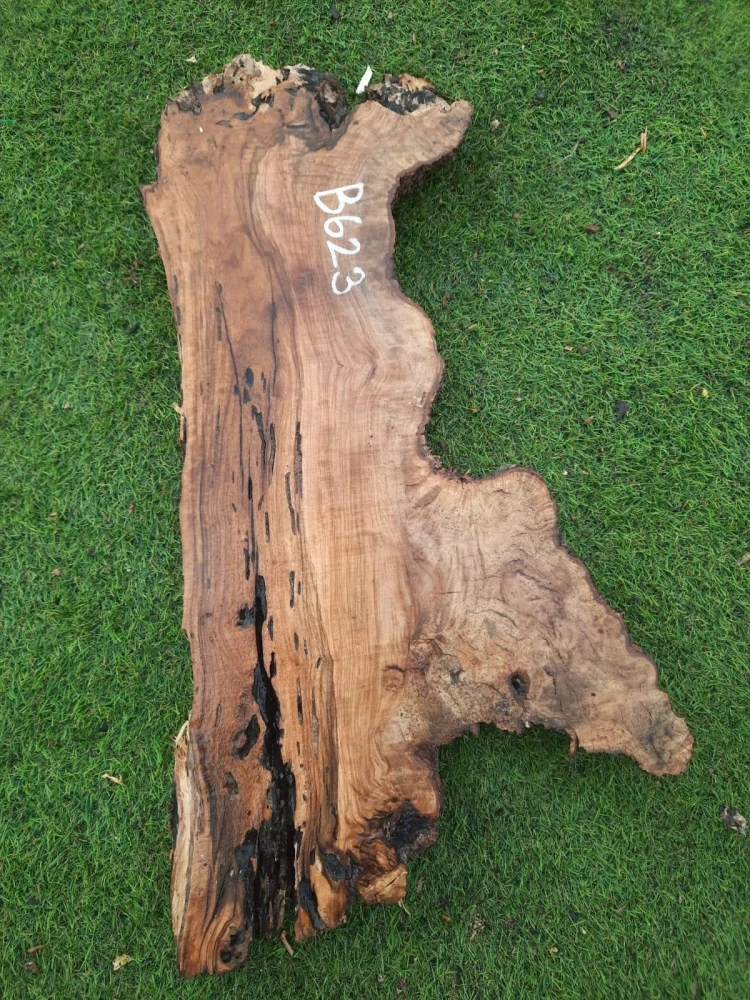 B623 Olivové dřevo 67x19x6 cm