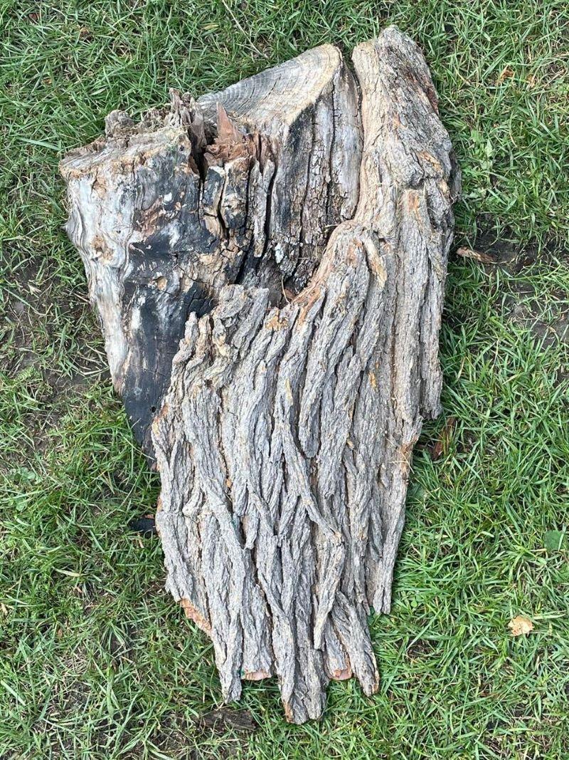M17 Morušová deska 75x43x4-16 cm