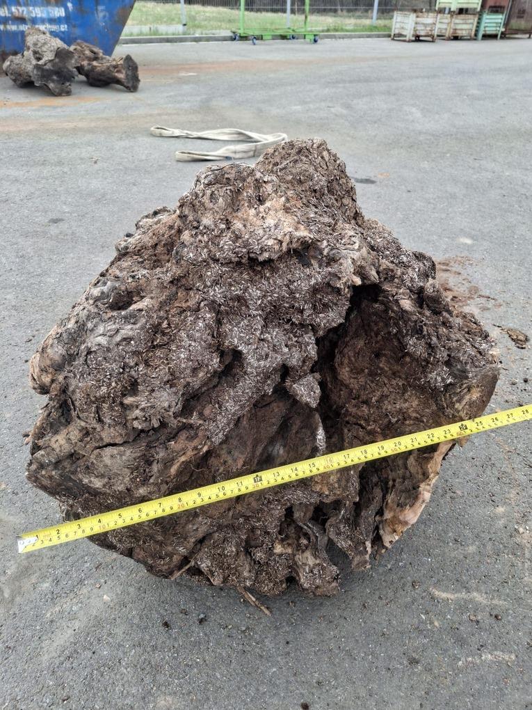 Olivový kmen, délka 130 cm