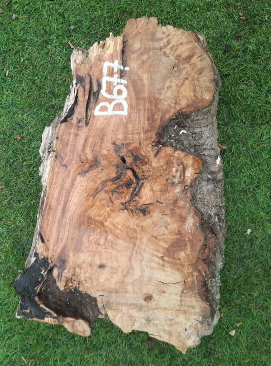 B677 Olivová deska 39x21x9 cm