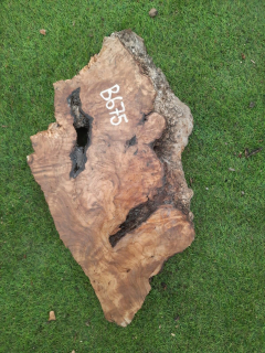 B675 Olivová deska 55x26x6 cm