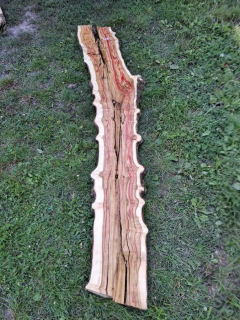 Z013 Javor jasanolistý 228x28x6,5 cm