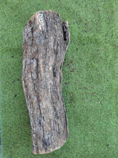 D029 Olivový špalek 66x17x15 cm