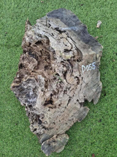 D055 Olivový odřezek 51x33x11 cm