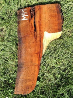 M091 Meruňkové dřevo 30x29x5 cm