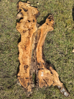 A048 Olivové dřevo 116x34x6 cm