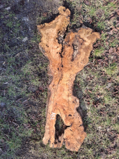 A052 Olivové dřevo 116x25x6 cm