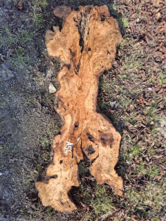 A054 Olivové dřevo 118x27x7,5-5 cm
