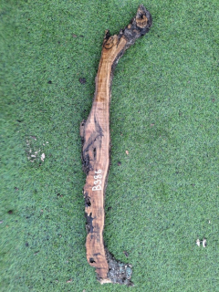 B386 Olivové dřevo 20x5x4 cm