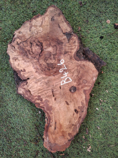 B426 Olivové dřevo 25x22x4,5 cm