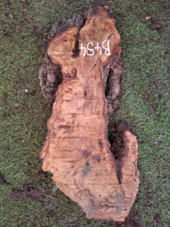 B454 Olivové dřevo 51x18x5 cm