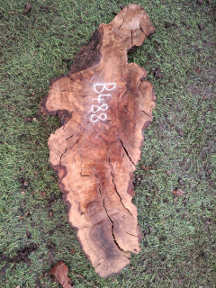 B488 Olivové dřevo 31x12x4,5 cm