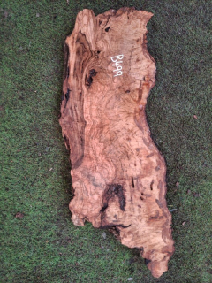 B499 Olivová deska 63x25x4,5 cm