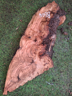 B504 Olivové dřevo 45x16x5 cm