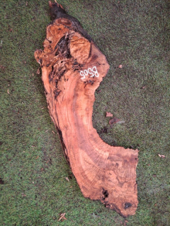 B505 Olivová deska 66x11x5 cm