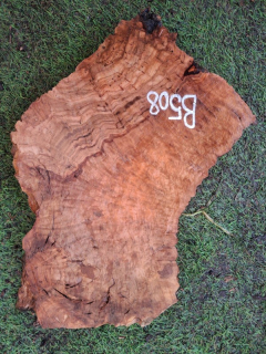 B508 Olivové dřevo 32x18x4,5 cm