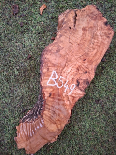 B549 Olivové dřevo 36x11x4,5c m