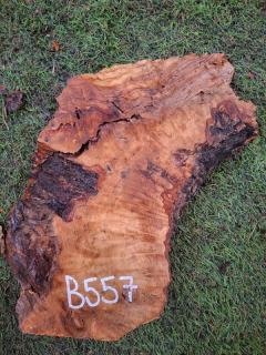 B557 Olivové dřevo 33x16x4,5 cm