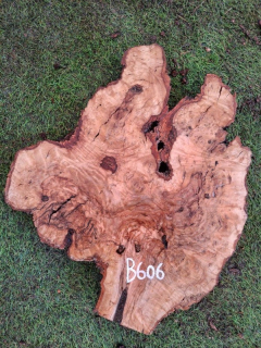 B606 Olivové dřevo 33x32x4,5 cm