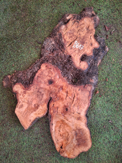 B617 Olivové dřevo 58x32x5 cm
