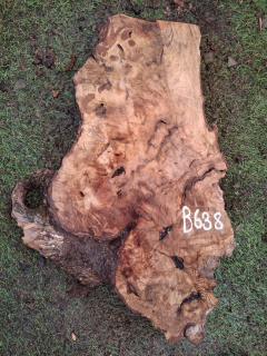 B638 Olivové dřevo 48x19x4,5 cm