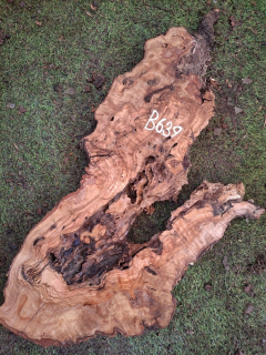 B639 Olivová deska 52x23x4,5 cm