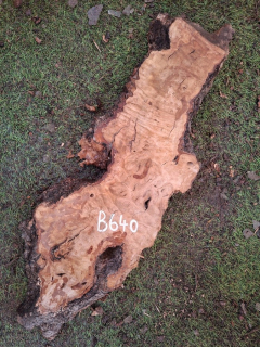 B640 Olivové dřevo 56x13x4 cm