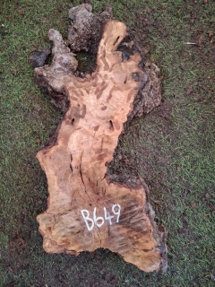 B649 Olivové dřevo 42x15x4,5 cm