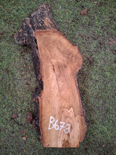 B673 Olivové dřevo 41x11x4,5 cm