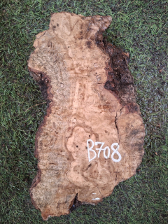B708 Olivové dřevo 26x13x6 cm